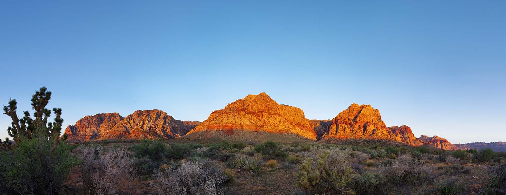 Red Rock Desert At Sunrise